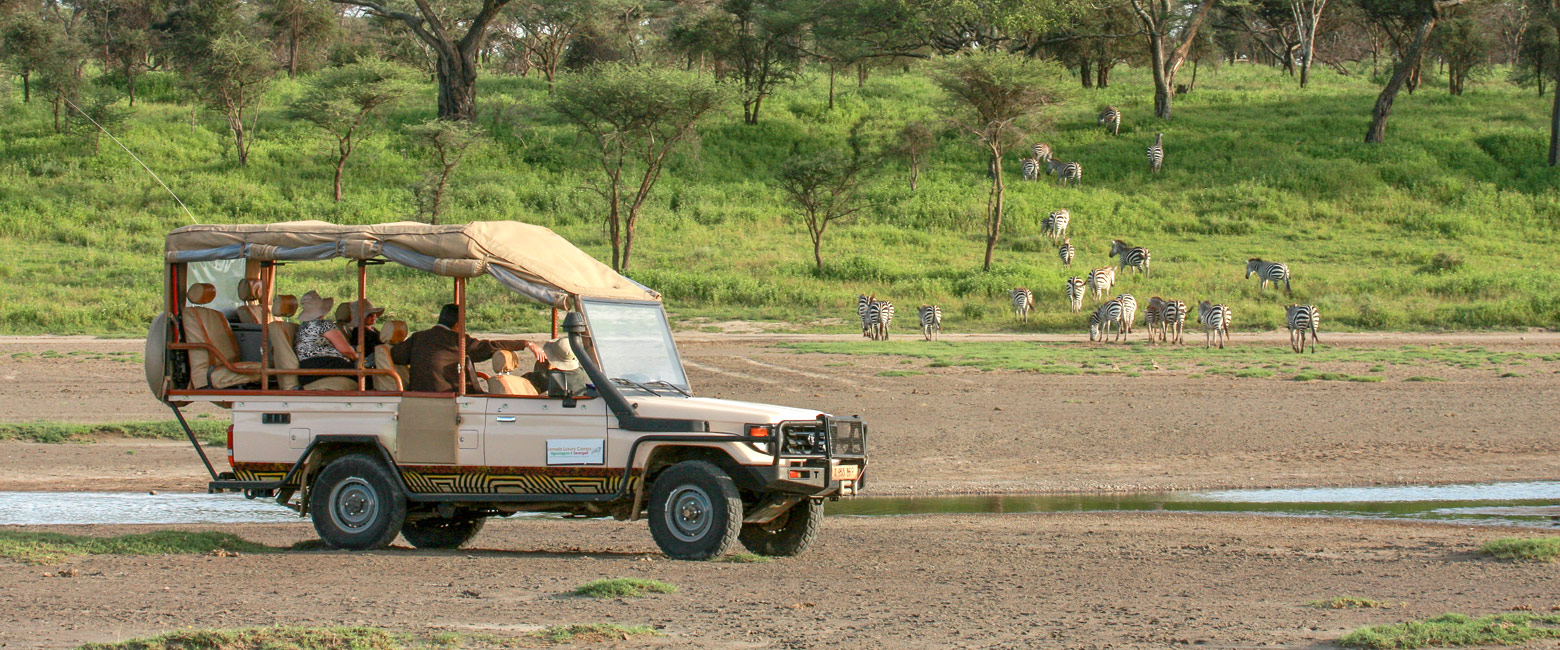 let us know your thoughts about Tanzania and we will help you create the perfect safari