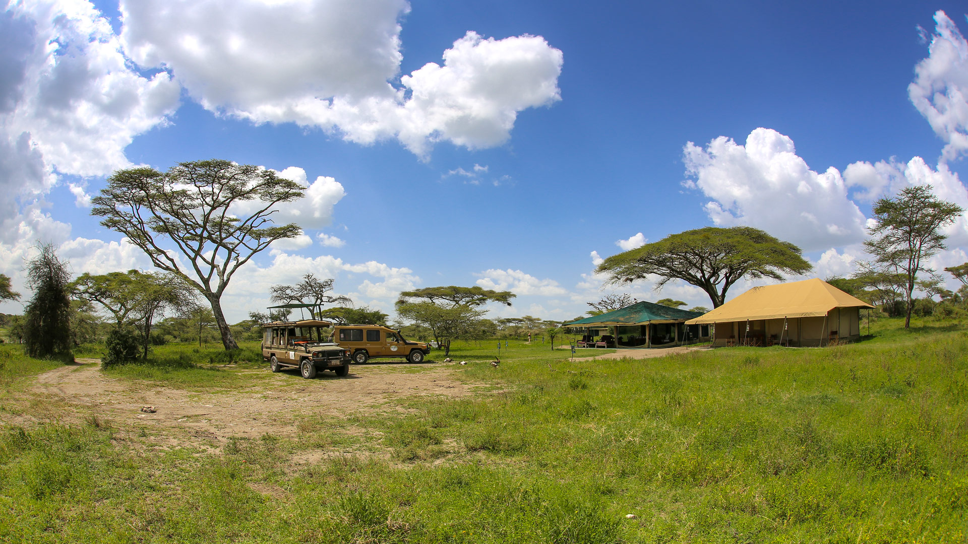 Nasikia Serengeti South
