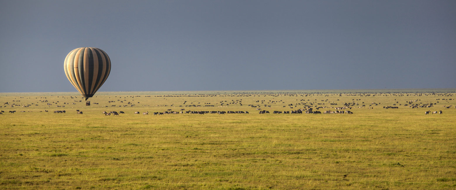 let us know your thoughts about Tanzania and we will make sure to deliver the perfect safari 