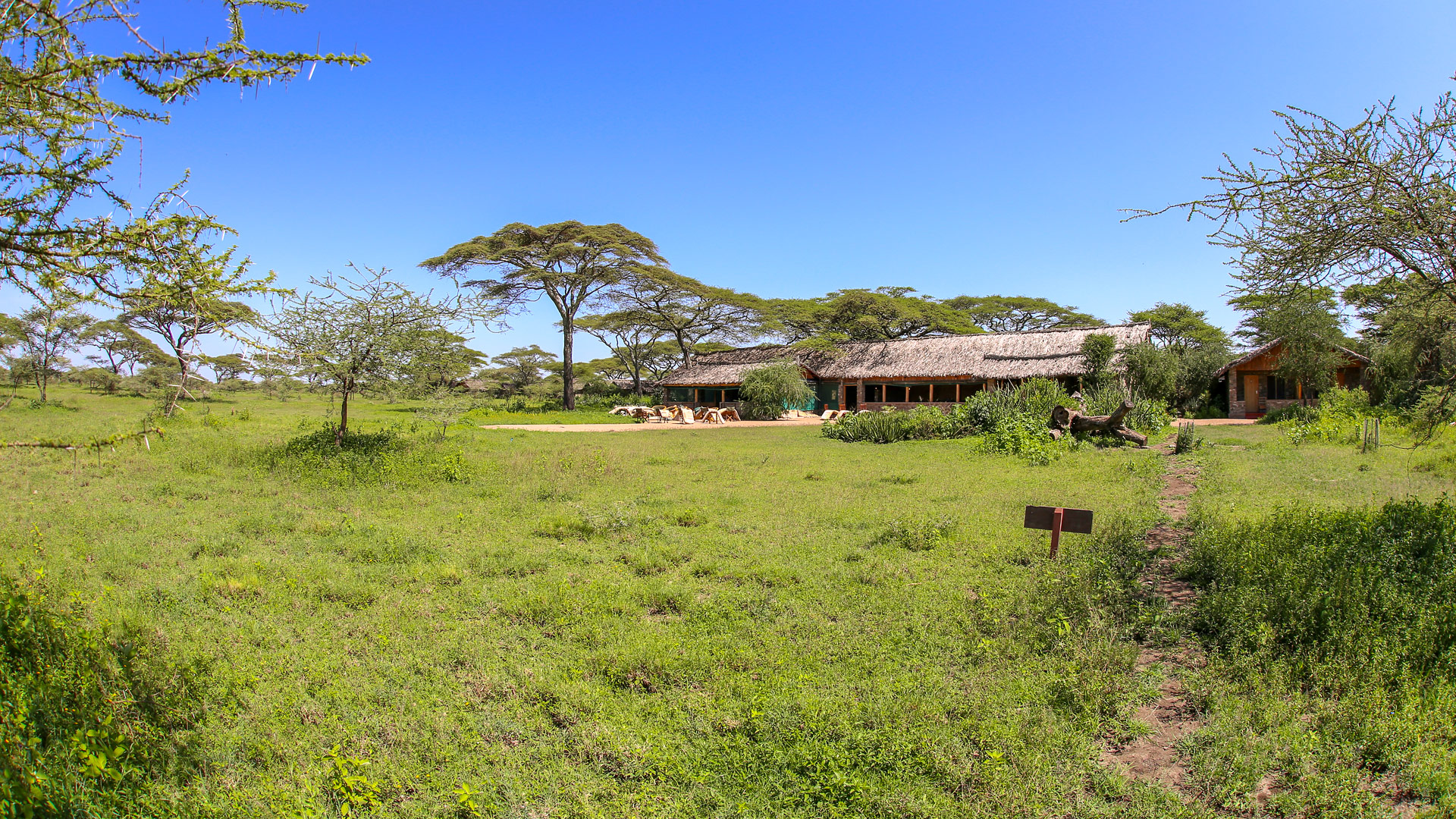 Ndutu Safari Lodge