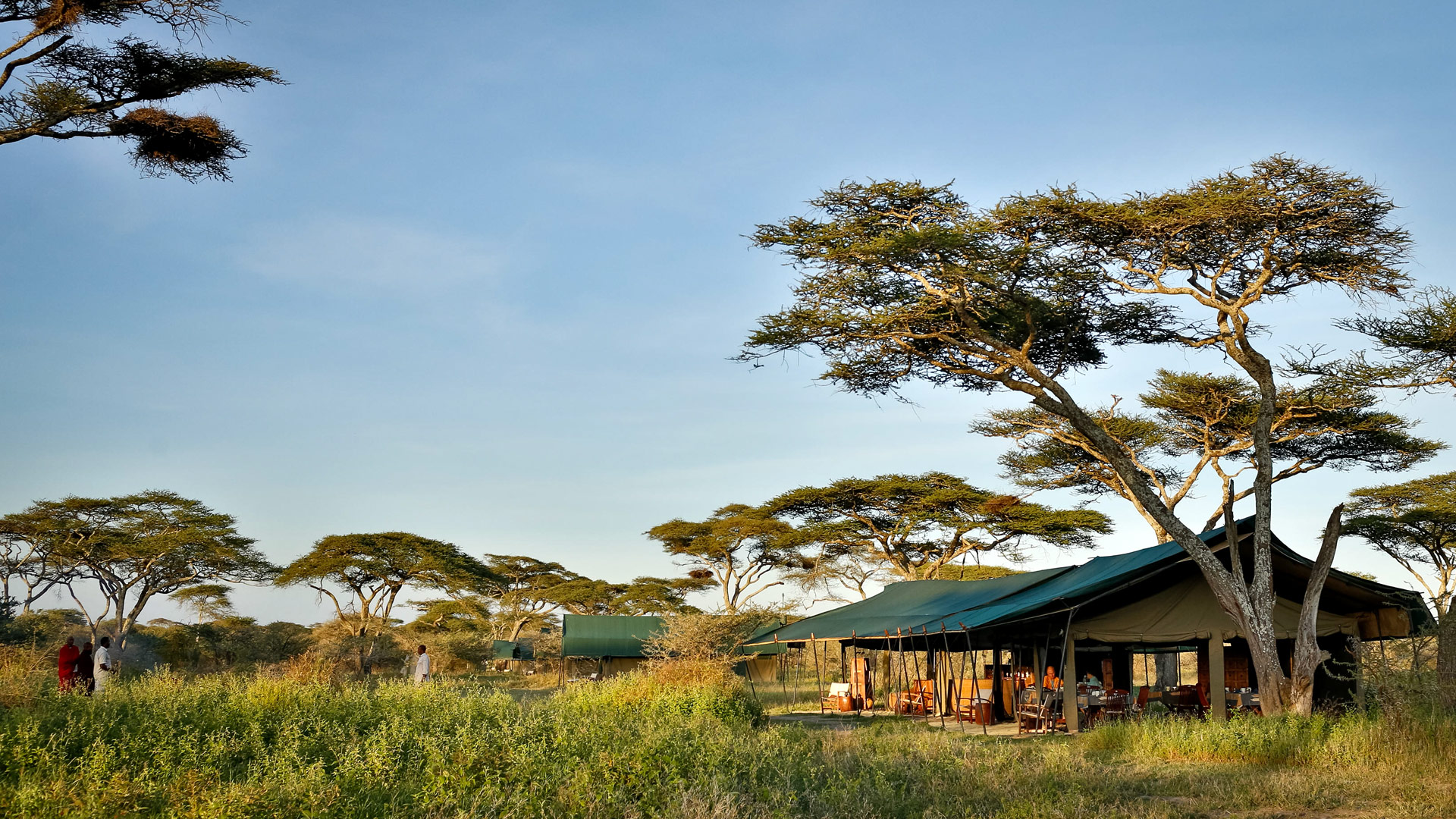 Nyikani Migration Camp Ndutu