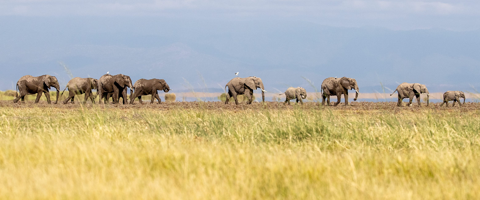 let us know your thoughts about Tanzania and we will help you create the perfect safari