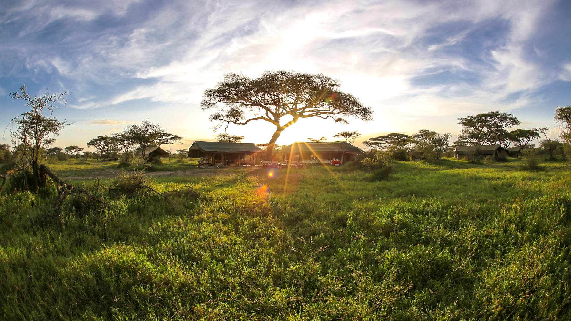 Olakira Ndutu Camp