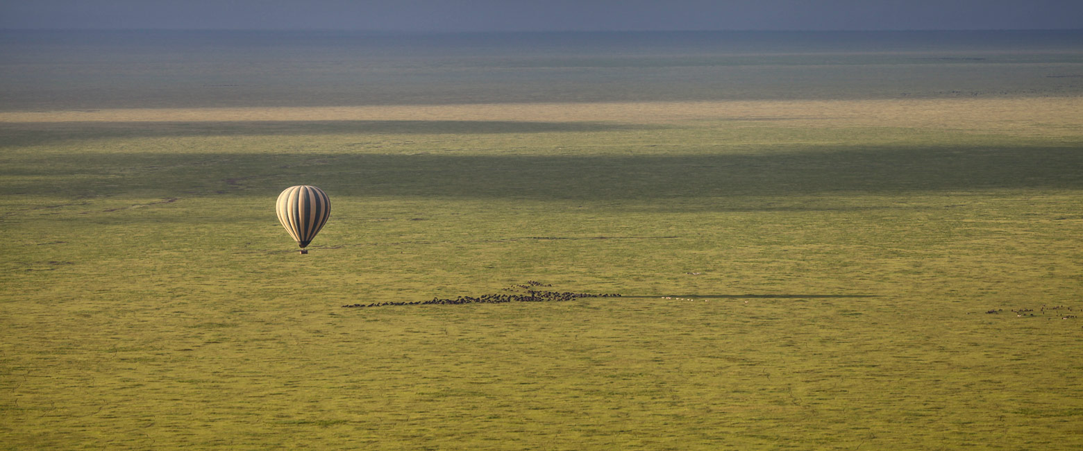 let us know your thoughts about Tanzania and we will help you create the perfect safari 
