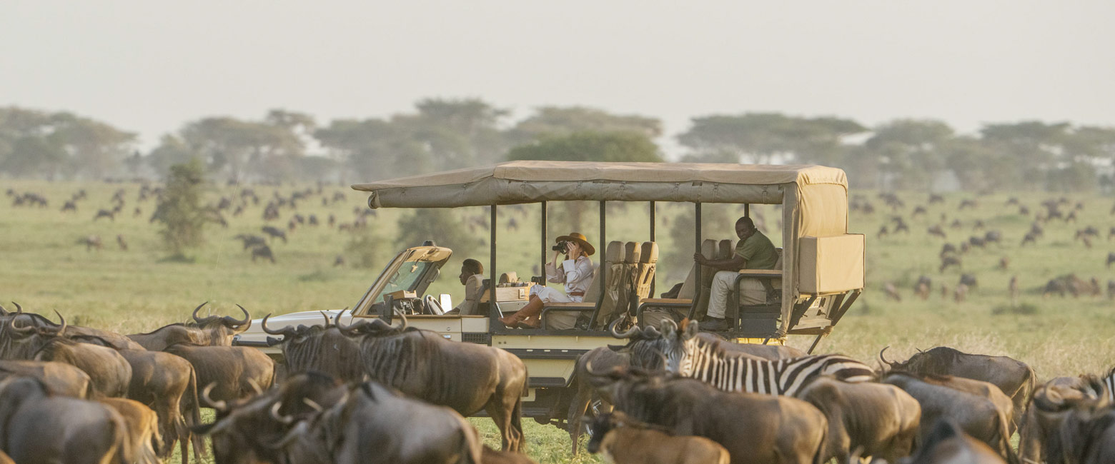 let us know your thoughts about Tanzania and we will help you create the perfect safari 