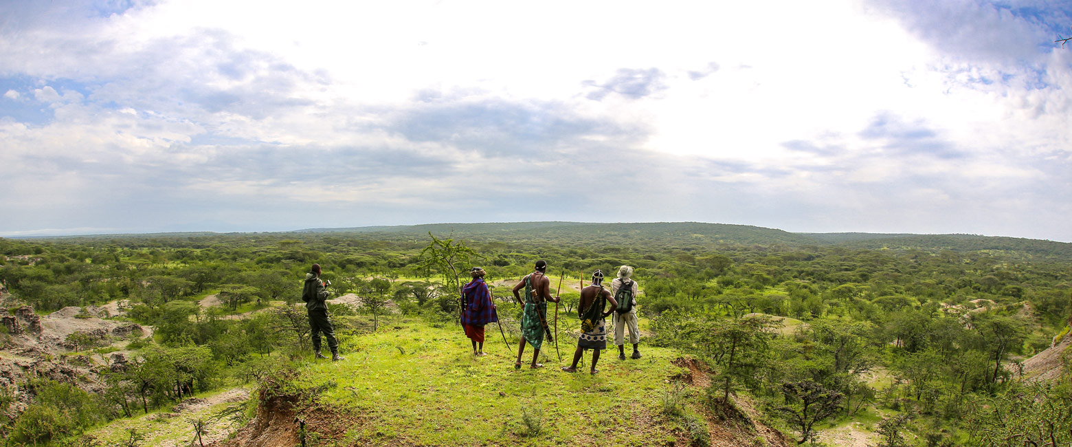 let us know your thoughts about Tanzania and we will help you create the perfect safari