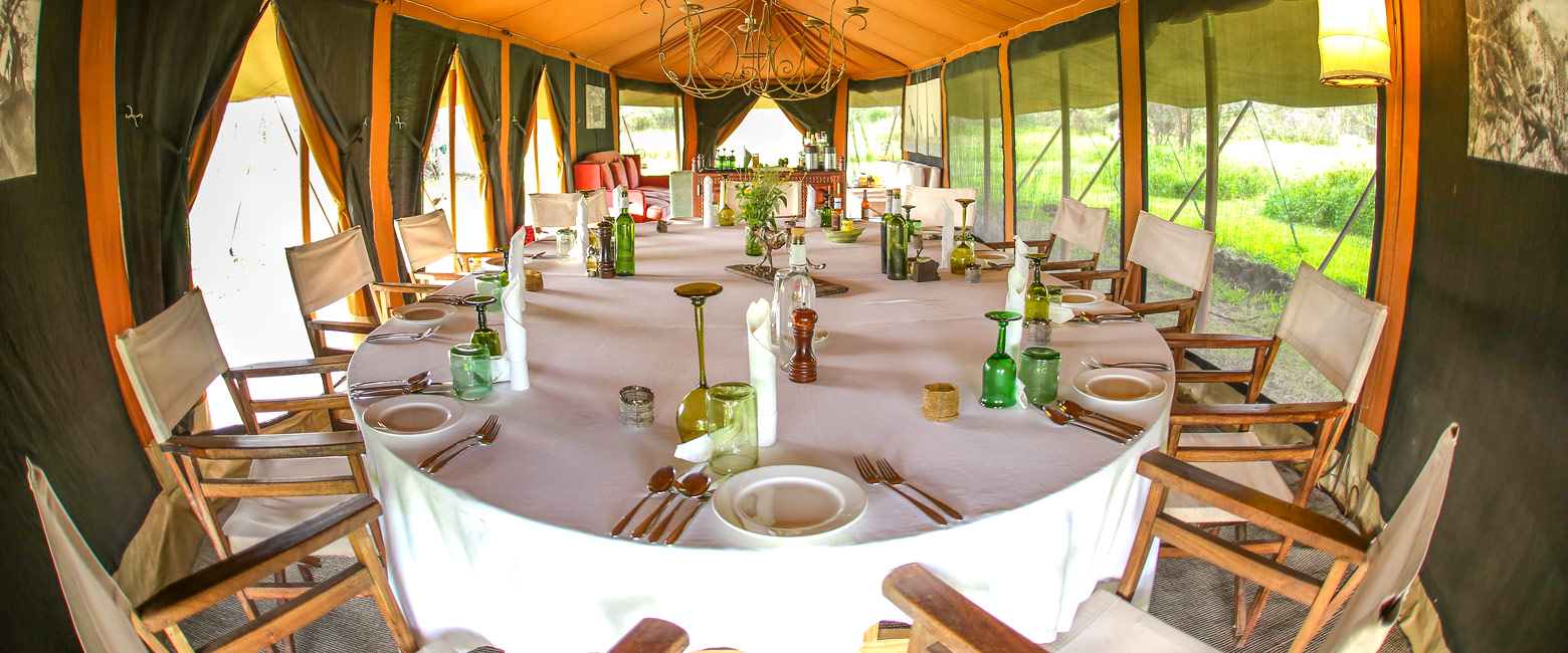 is a rare owner-hosted mobile in the Serengeti Southwest area