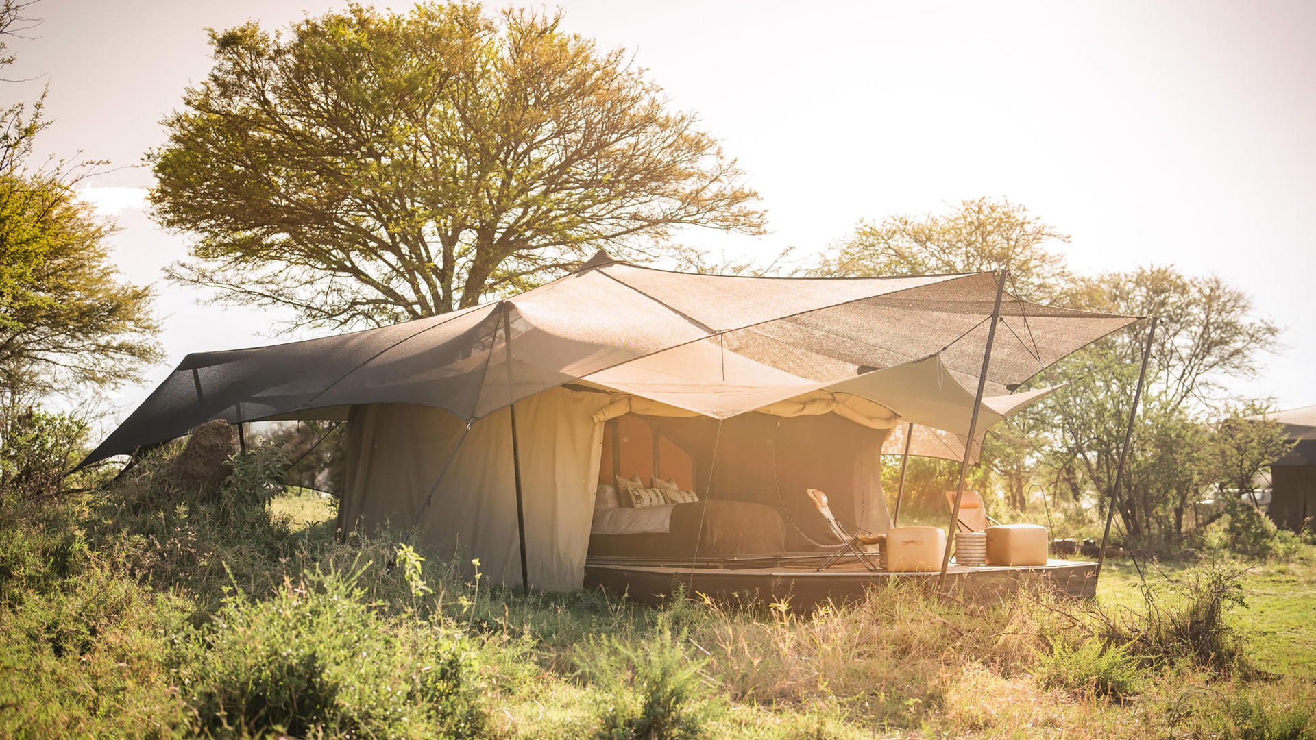 Siringit Migration Ndutu