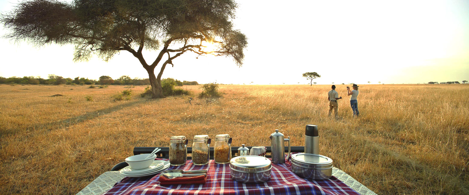 let us know your thoughts about Tanzania and we will make sure to deliver the perfect safari 