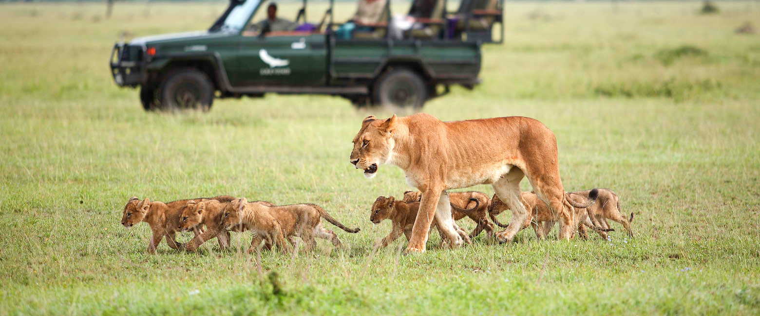 let us know your thoughts about Tanzania and we will help you create the perfect safari
