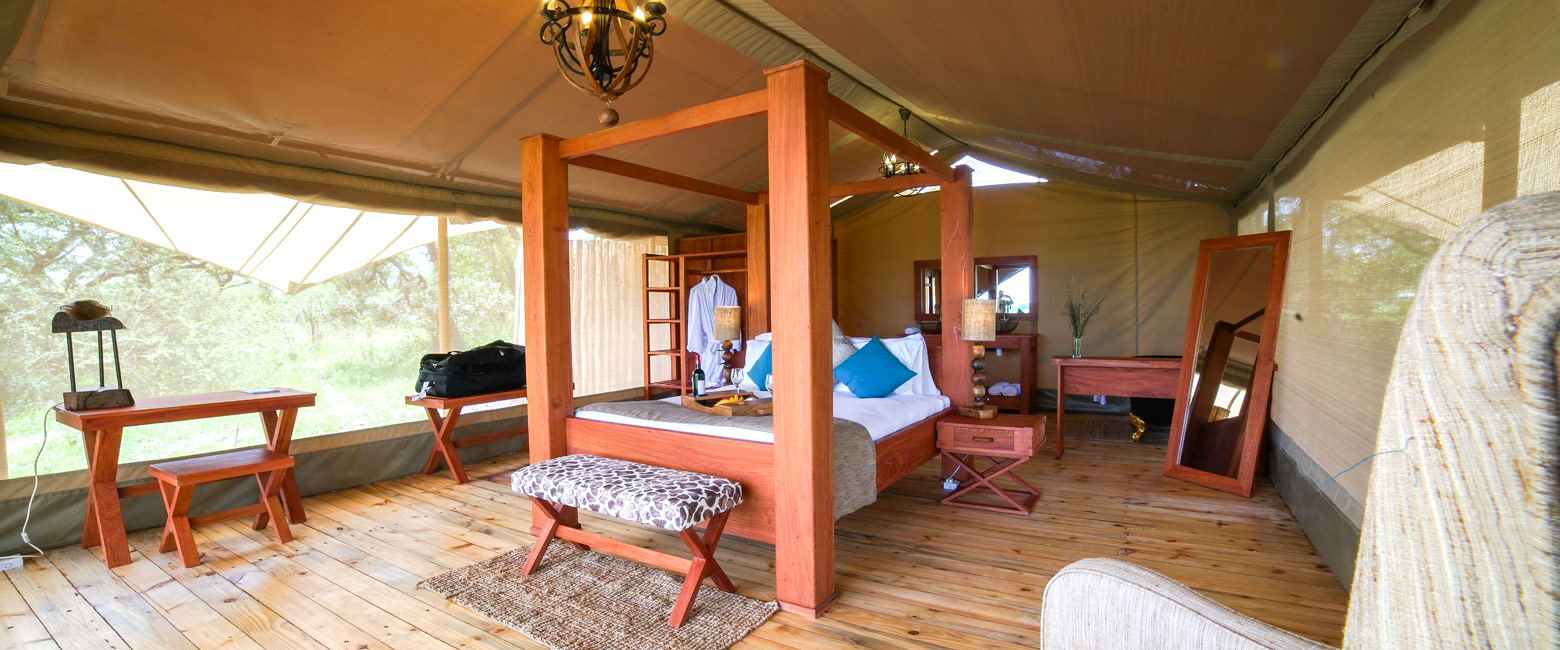 is a well-priced mobile in the Serengeti West area