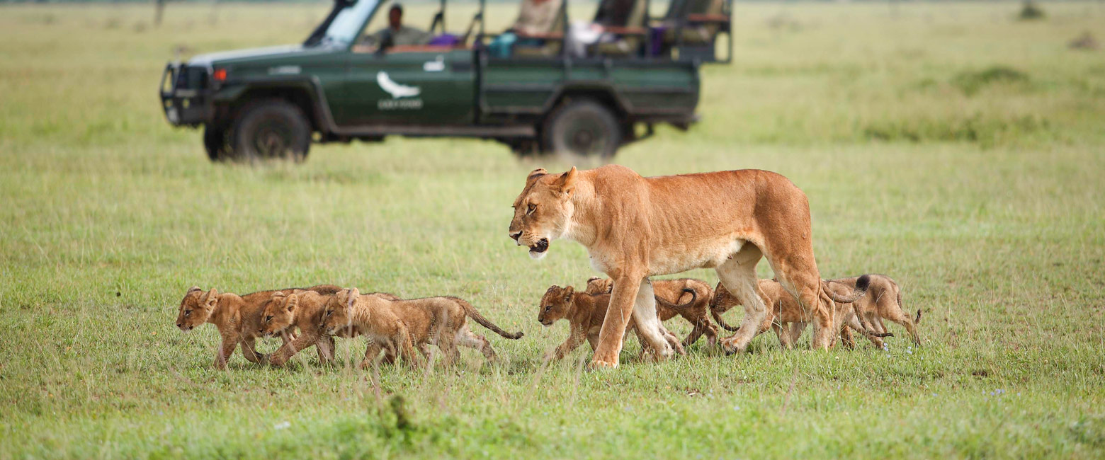 let us know your thoughts about Tanzania and we will help you create the perfect safari 