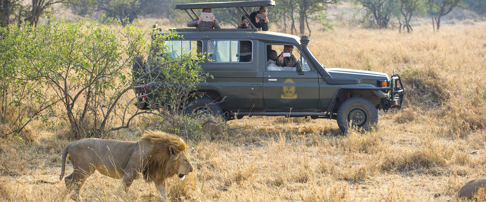 let us know your thoughts about Tanzania and we will help you create the perfect safari