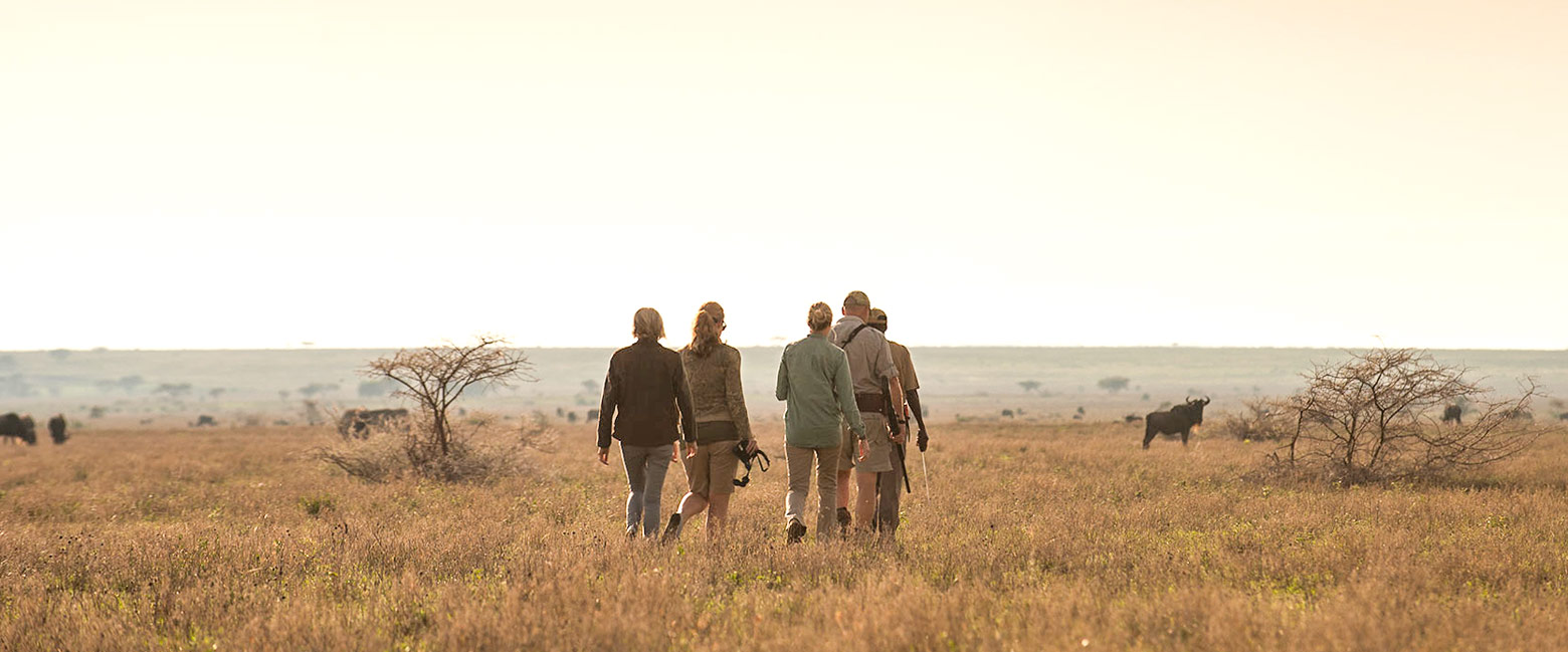 let us know your thoughts about Tanzania and we will help you create the perfect safari
