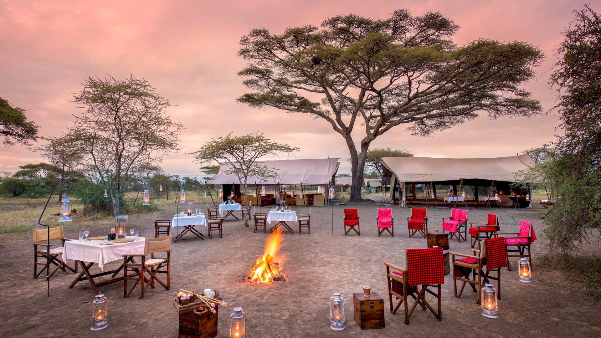 Serengeti Under Canvas West