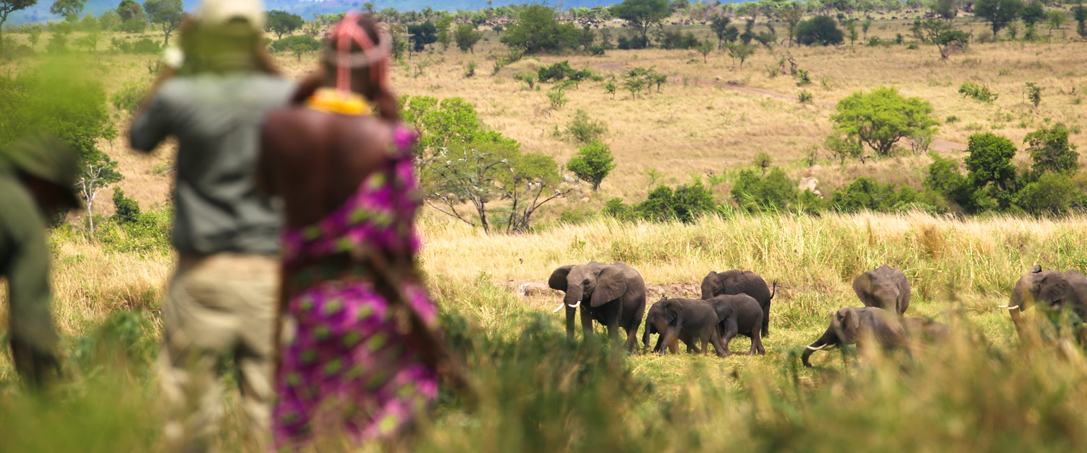 let us know your thoughts about Tanzania and we will help you create the perfect safari