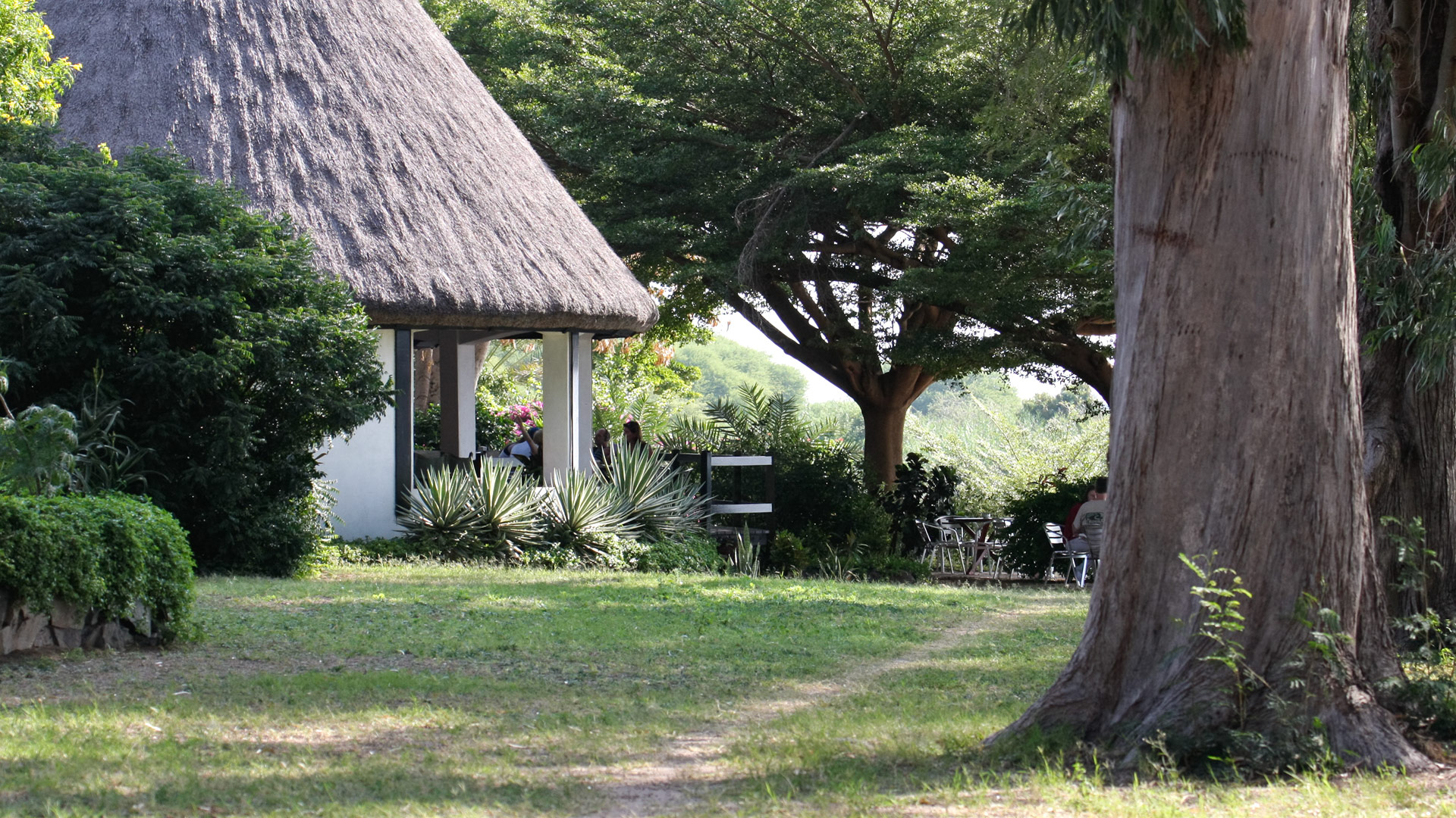 Speke Bay Lodge