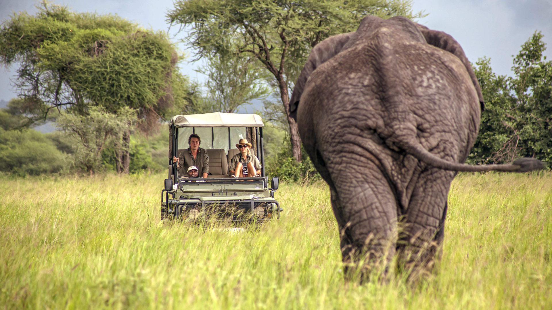 Safari to Tarangire