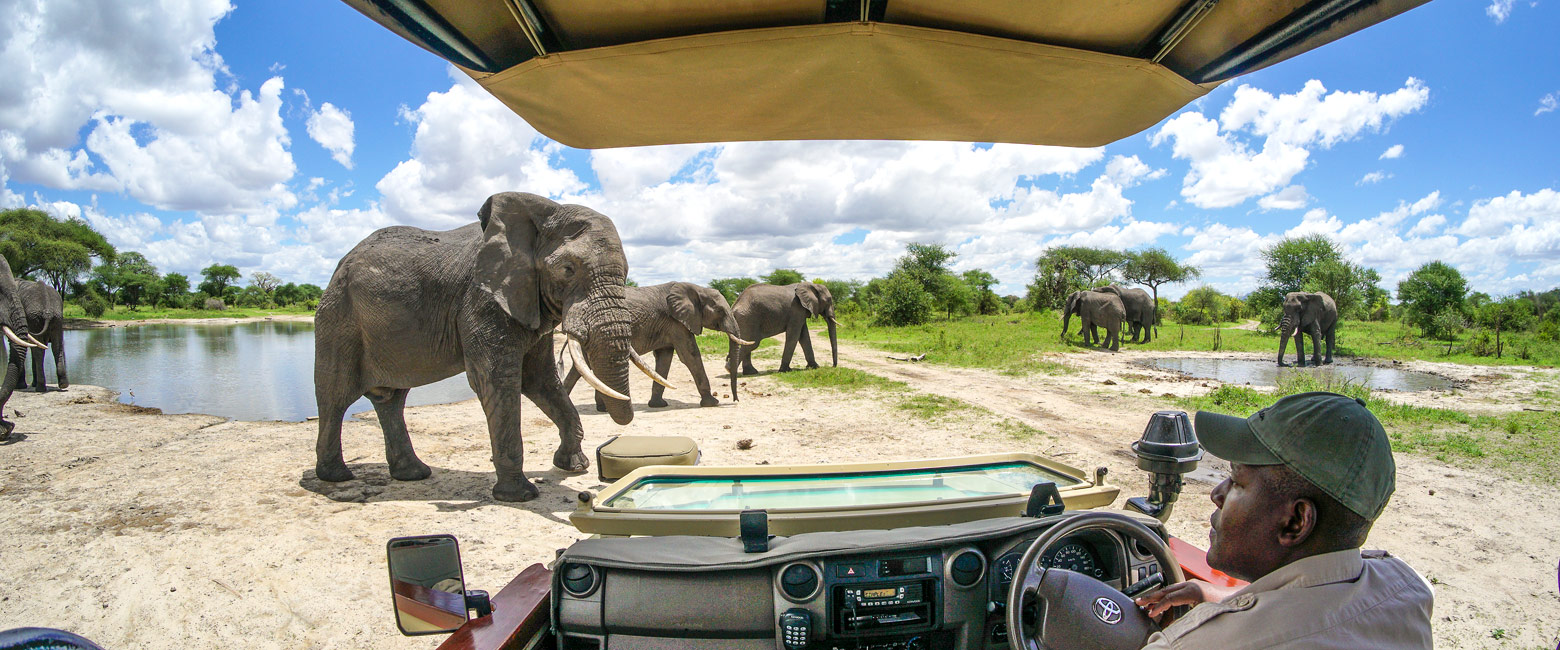 is a pleasantly understated reserve, a major centre for elephants