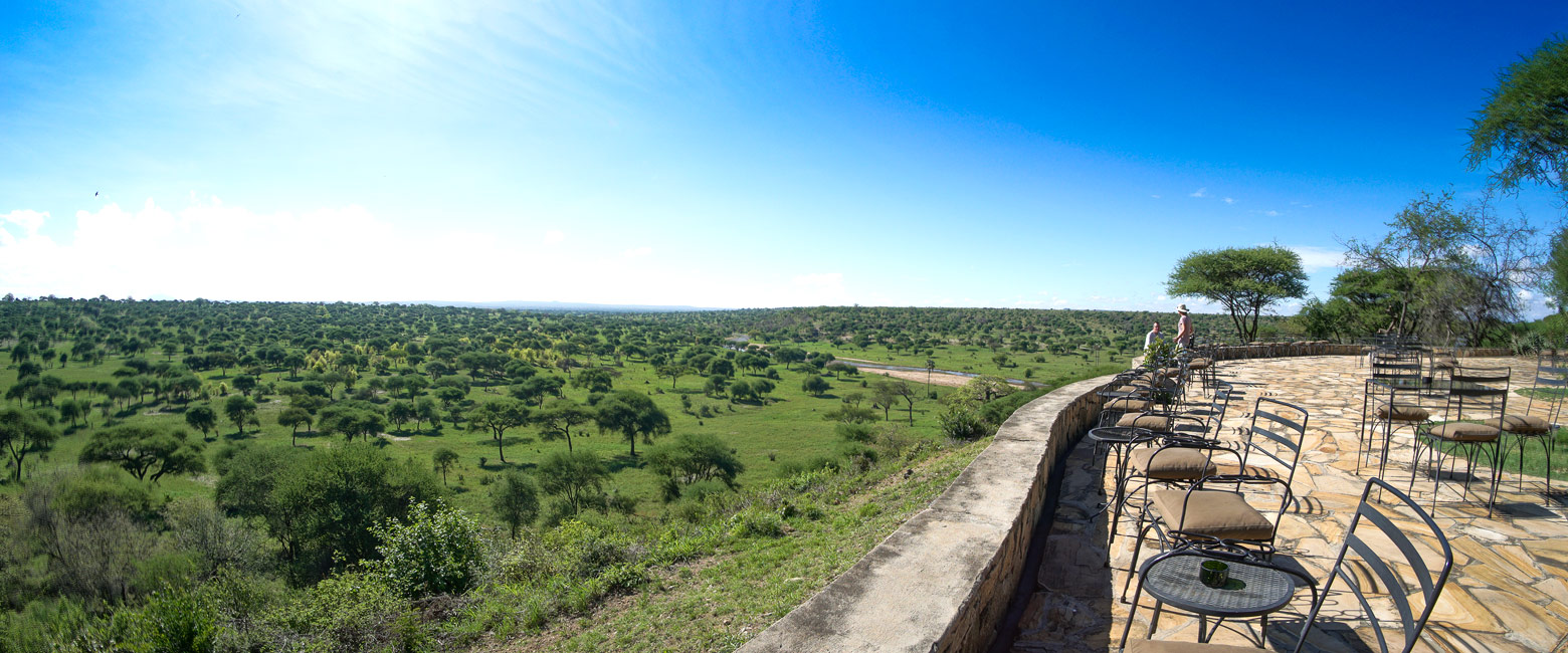 let us know your thoughts about Tanzania and we will help you create the perfect safari