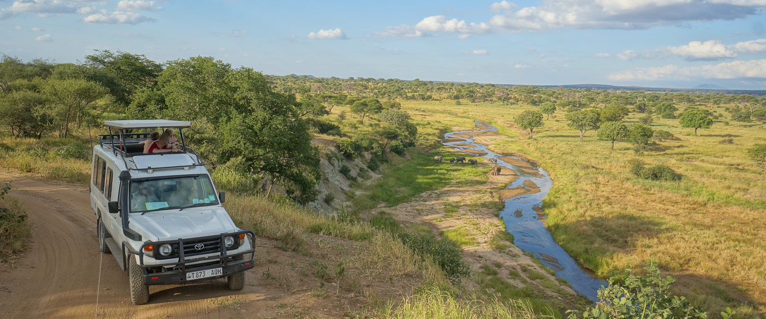 let us know your thoughts about Tanzania and we will help you create the perfect safari