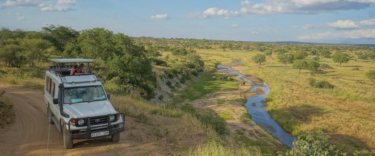 let us know your thoughts about Tanzania and we will help you create the perfect safari 