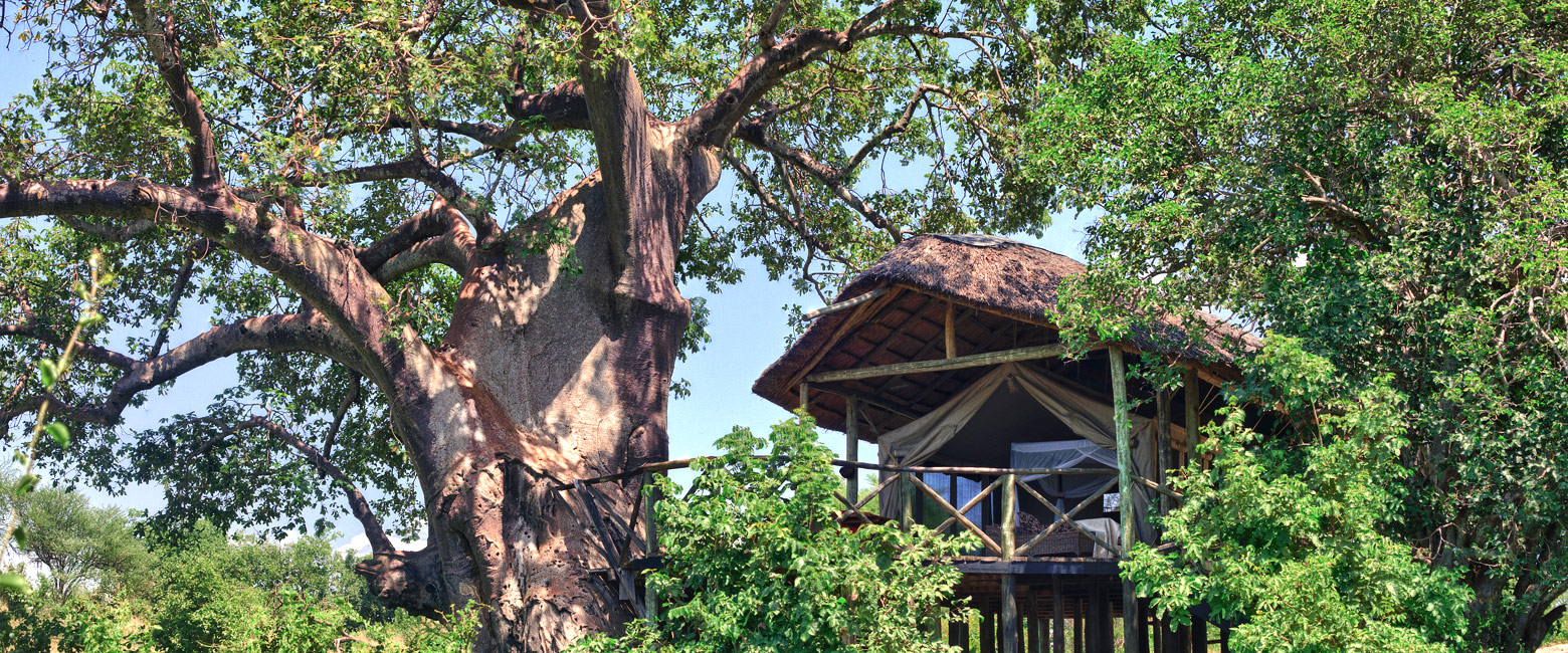 is a relatively large mid-range lodge in the Tarangire area of northern Tanzania