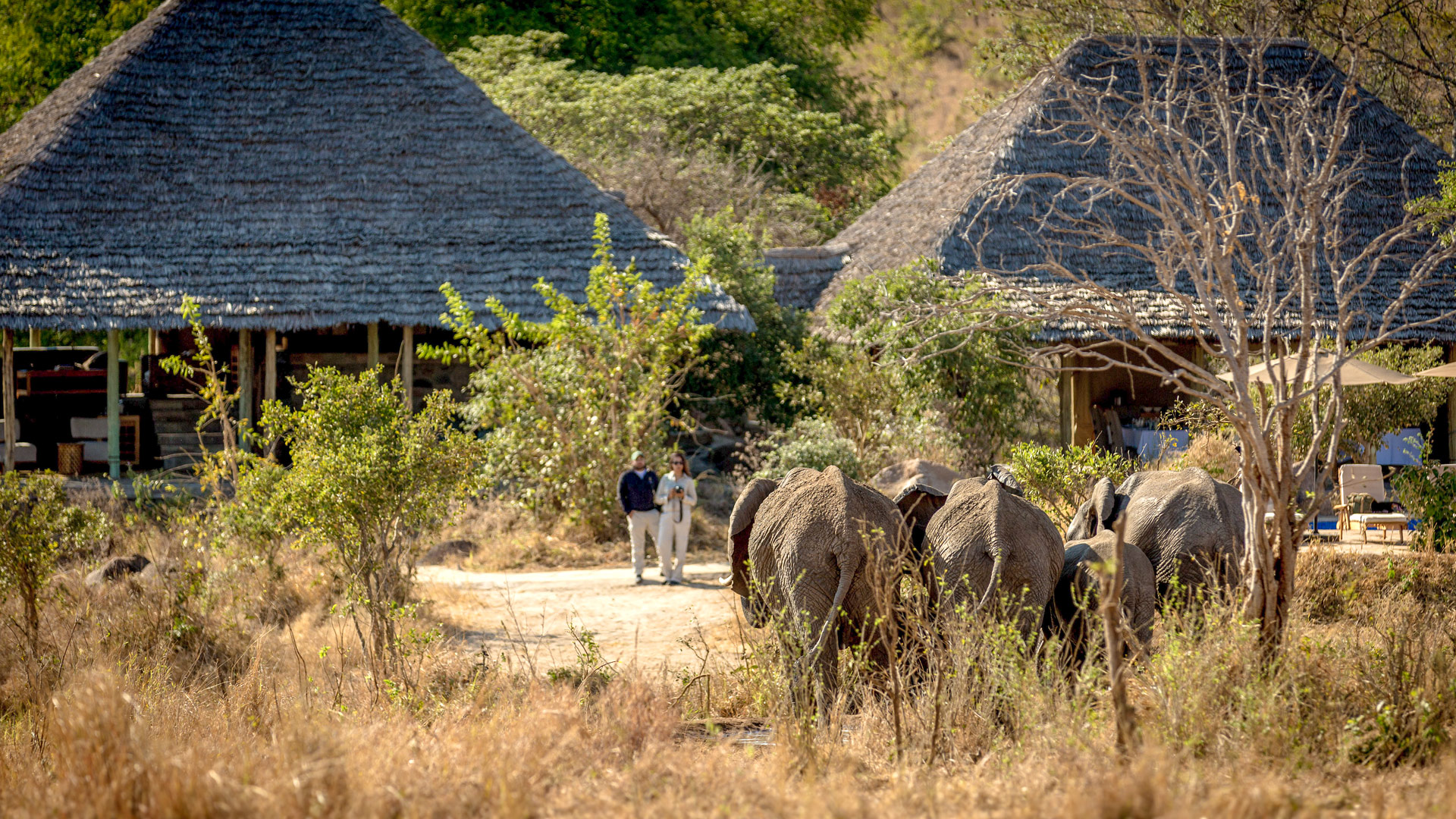 Nimali Tarangire Camp