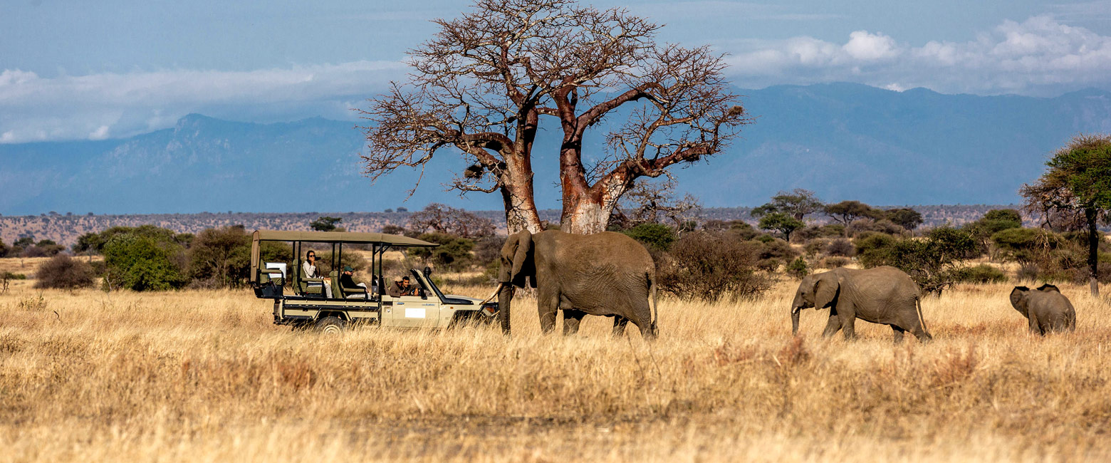 let us know your thoughts about Tanzania and we will help you create the perfect safari