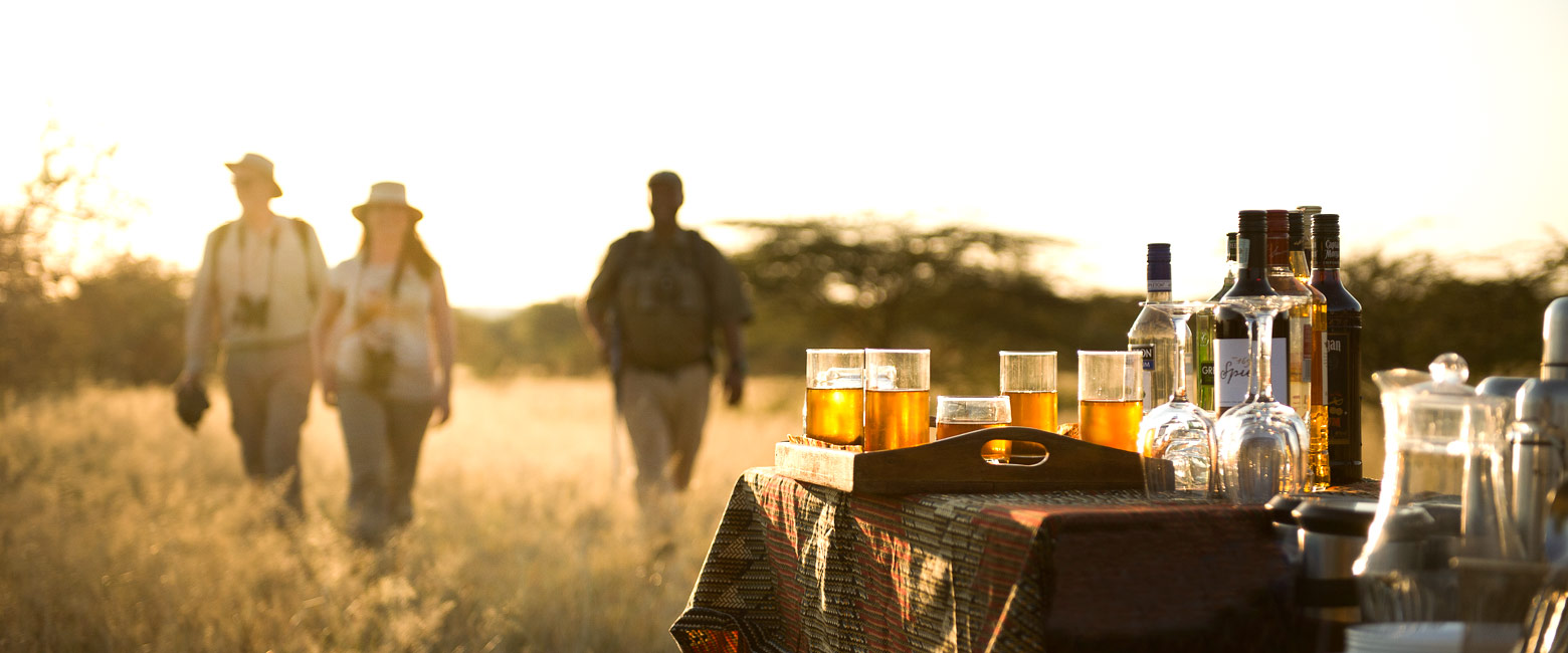 let us know your thoughts about Tanzania and we will help you create the perfect safari