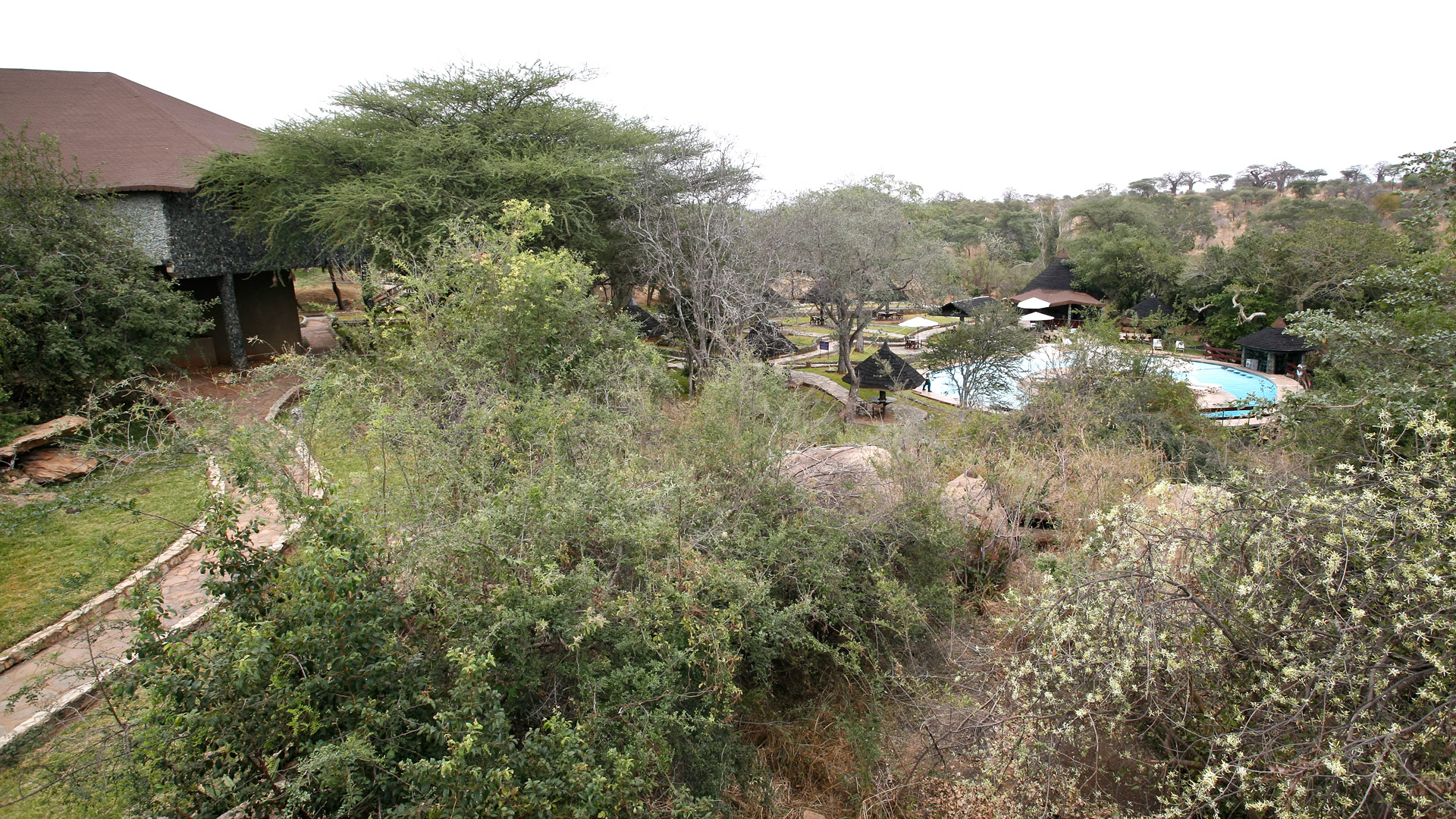 Tarangire Sopa Lodge