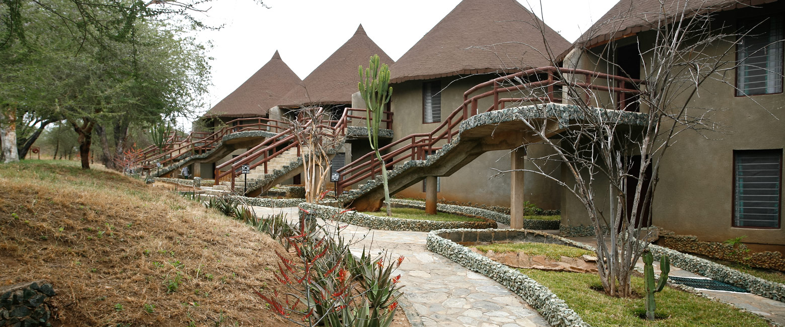 let us know your thoughts about Tanzania and we will make sure to deliver the perfect safari