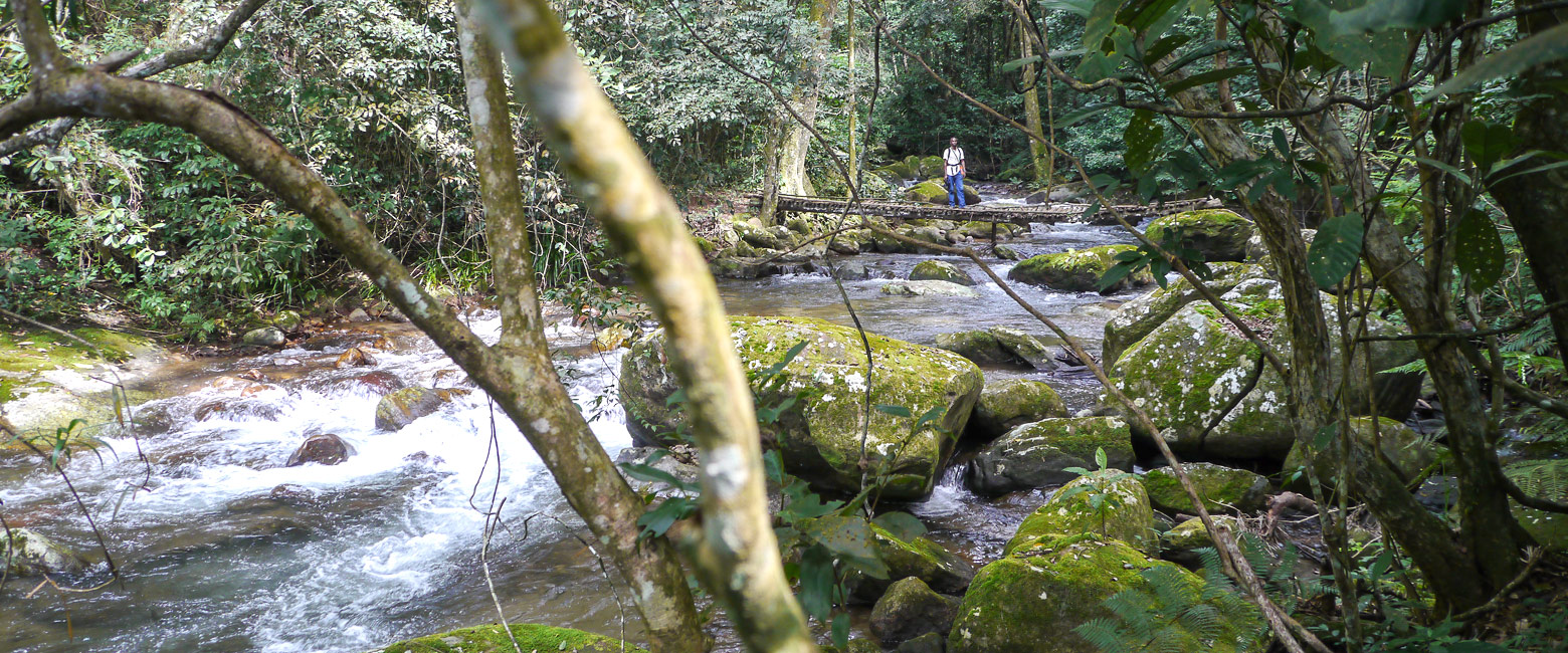 is a biodiverse upland in southern Tanzania 
