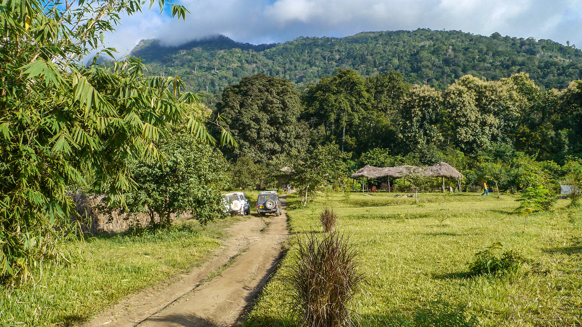 Udzungwa Forest Camp
