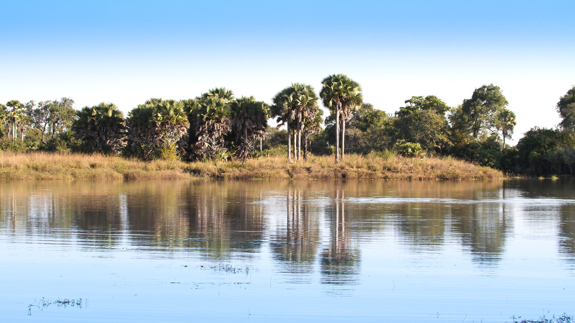 Safari to Ugalla River
