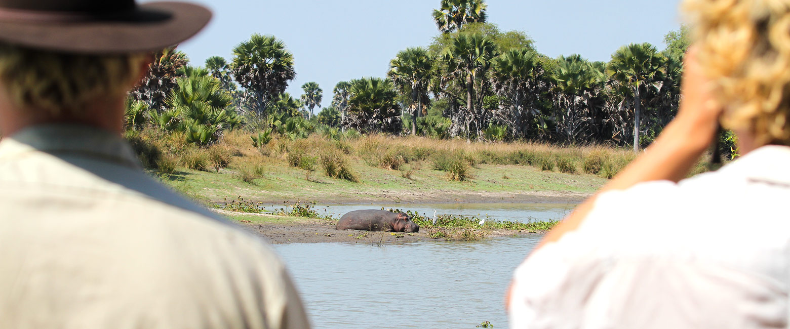 let us know your thoughts about Tanzania and we will help you create the perfect safari 