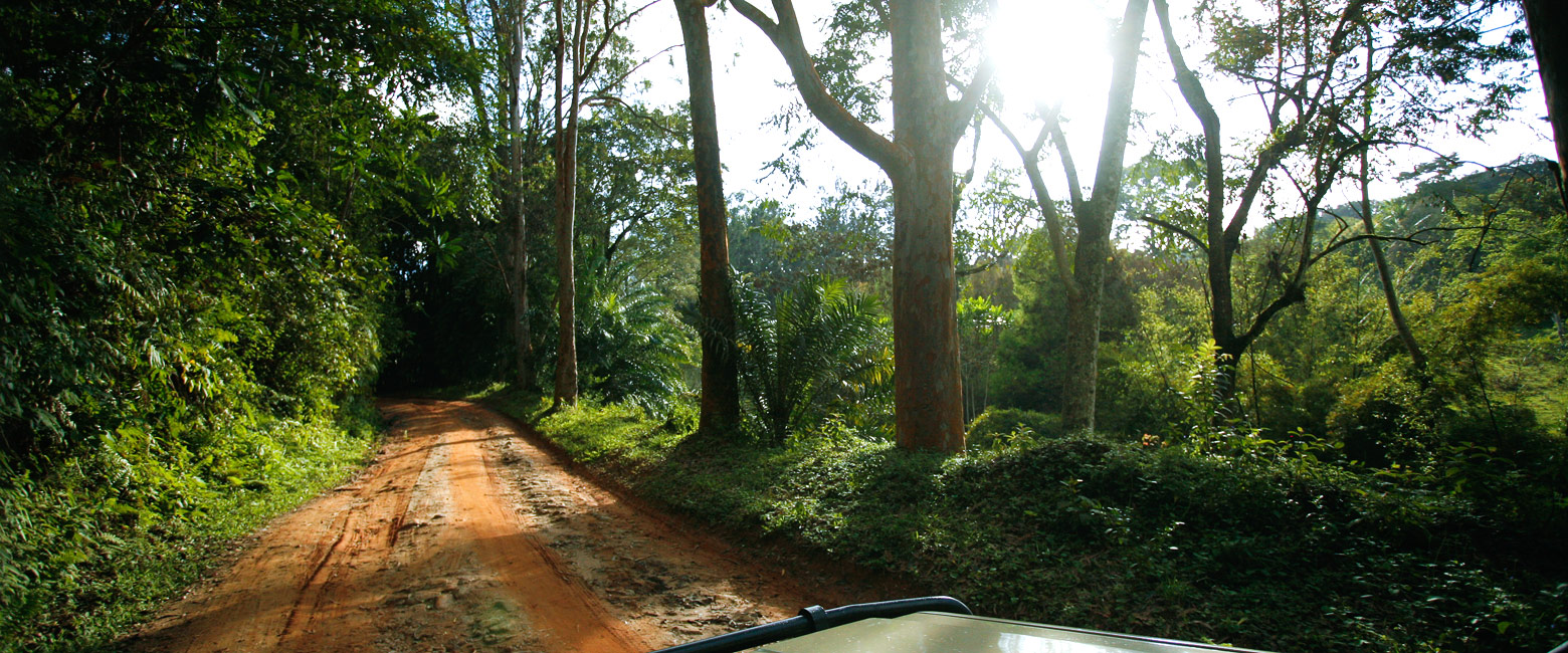 let us know your thoughts about Tanzania and we will help you create the perfect safari