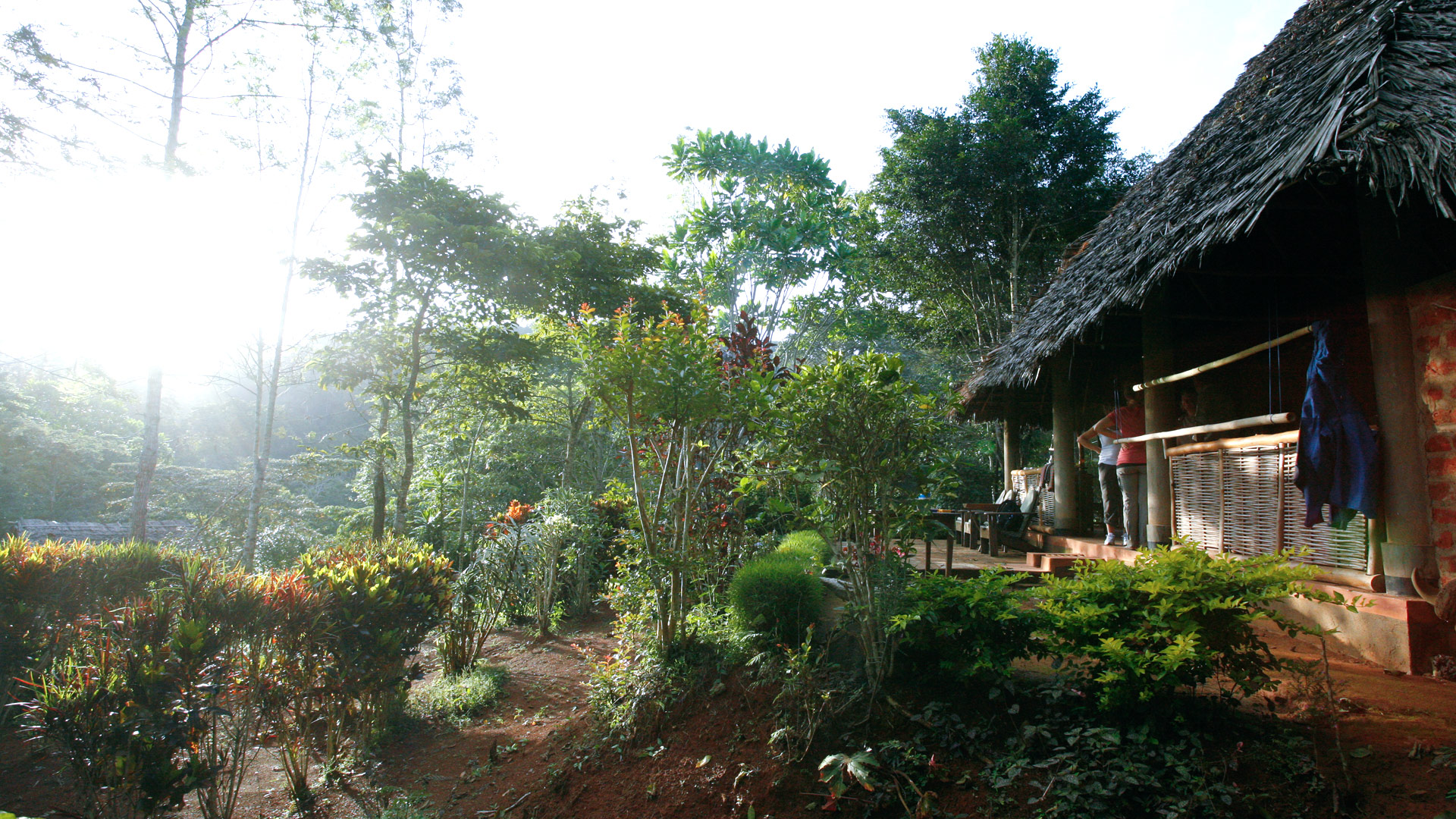 Amani Forest Camp