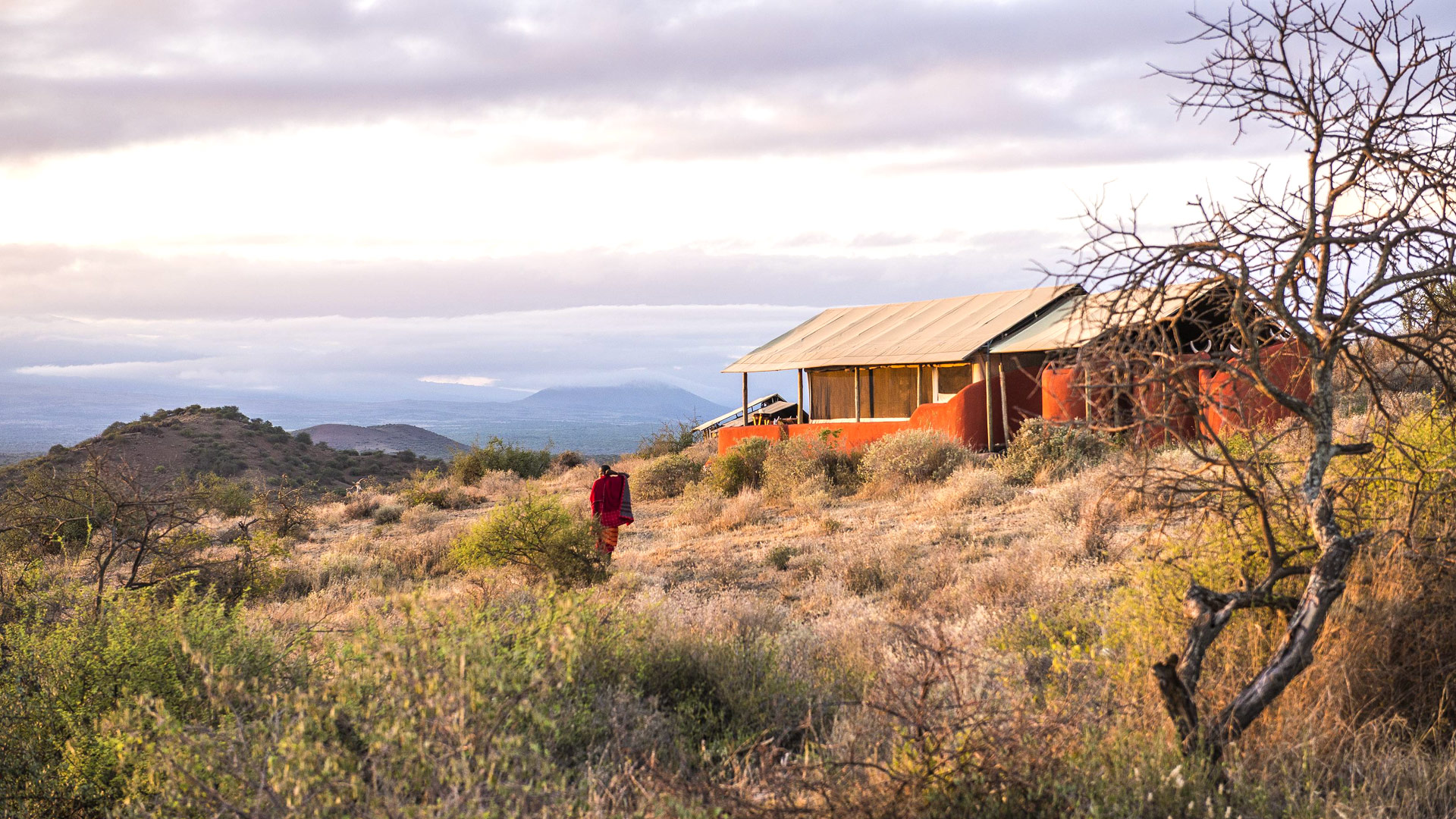 Safari to West Kilimanjaro