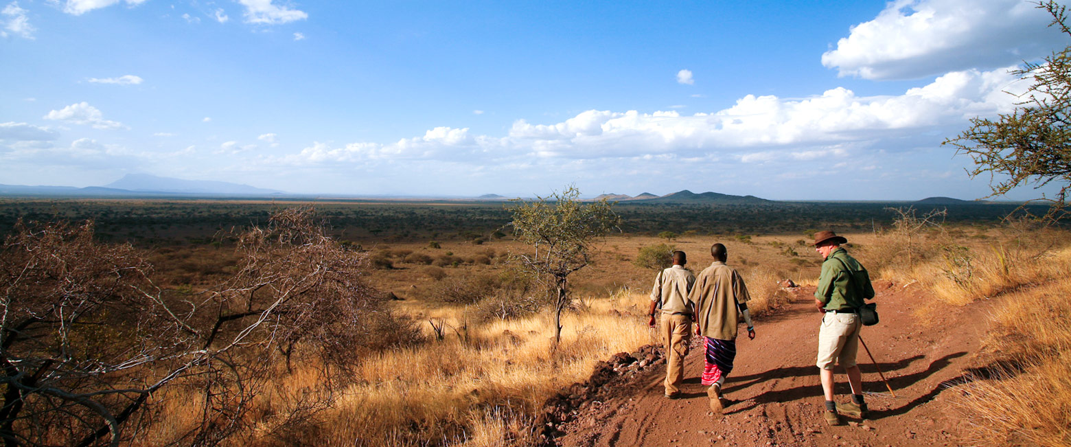 let us know your thoughts about Tanzania and we will help you create the perfect safari 