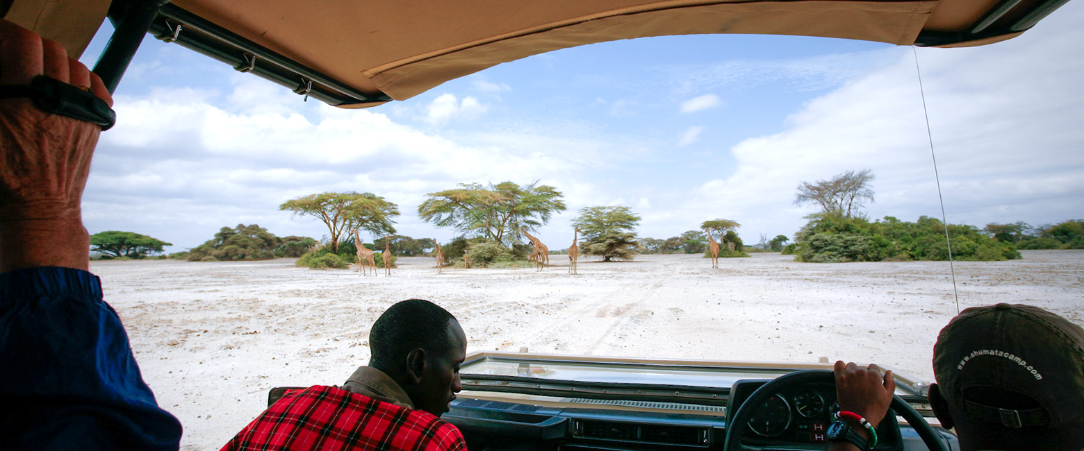 let us know your thoughts about Tanzania and we will help you create the perfect safari