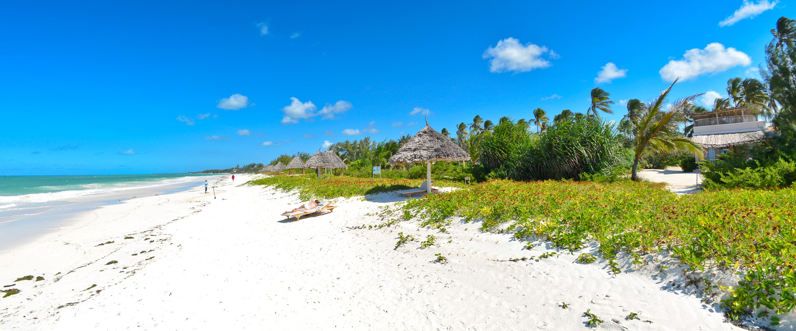 let us know your thoughts about Tanzania and we will help you create the perfect trip