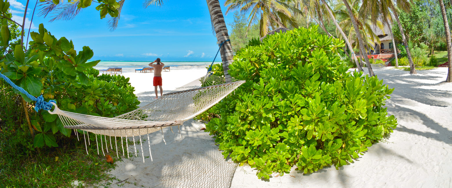 let us know your thoughts about Tanzania and we will help you create the perfect trip 