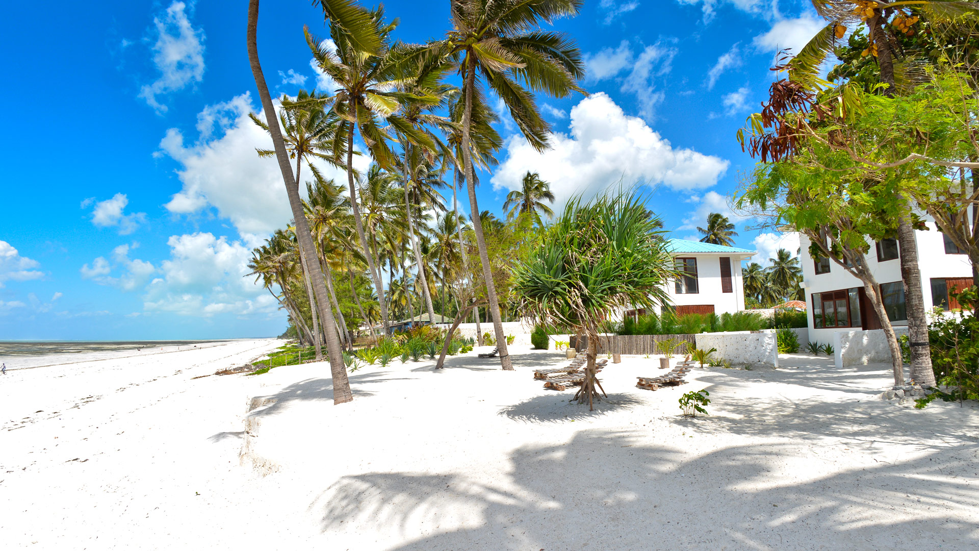 Indigo Beach Zanzibar