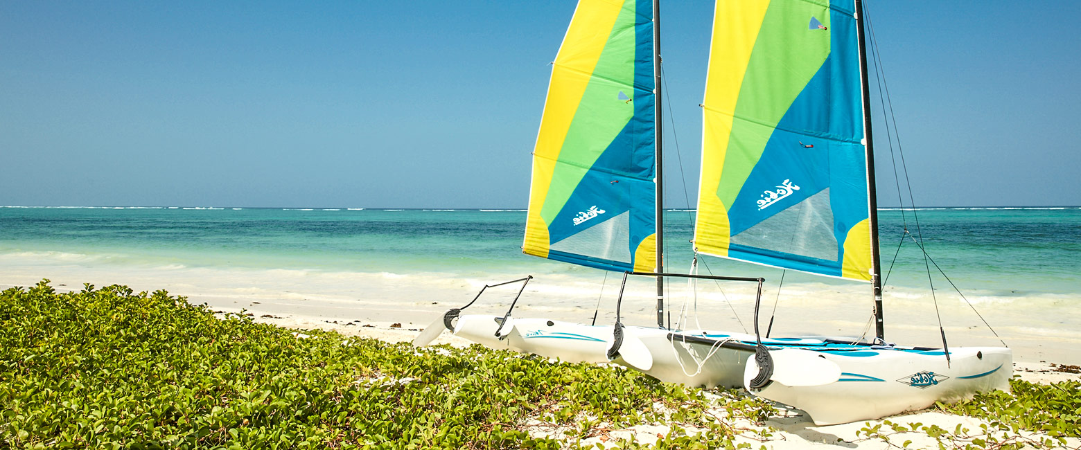 let us know your thoughts about Tanzania and we will help you create the perfect safari