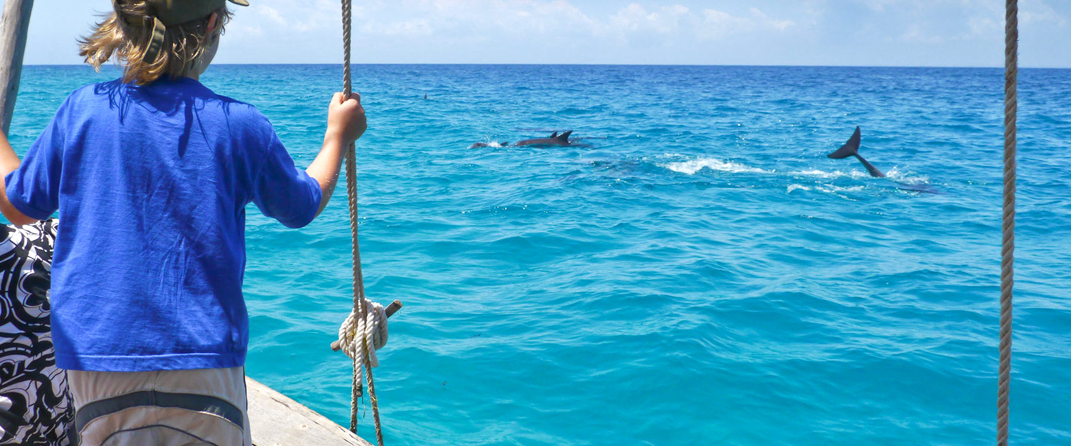 let us know your thoughts about Tanzania and we will help you create the perfect safari 