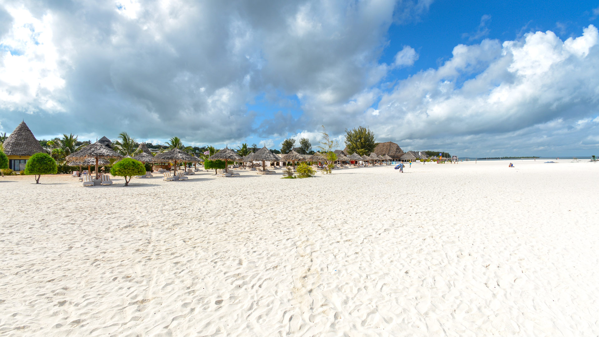 Gold Zanzibar