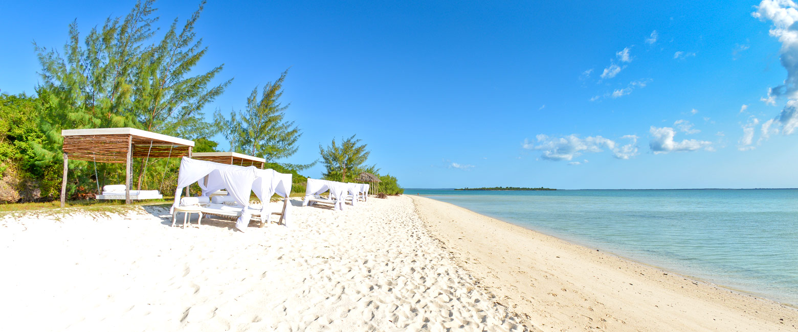 let us know your thoughts about Tanzania and we will help you create the perfect safari