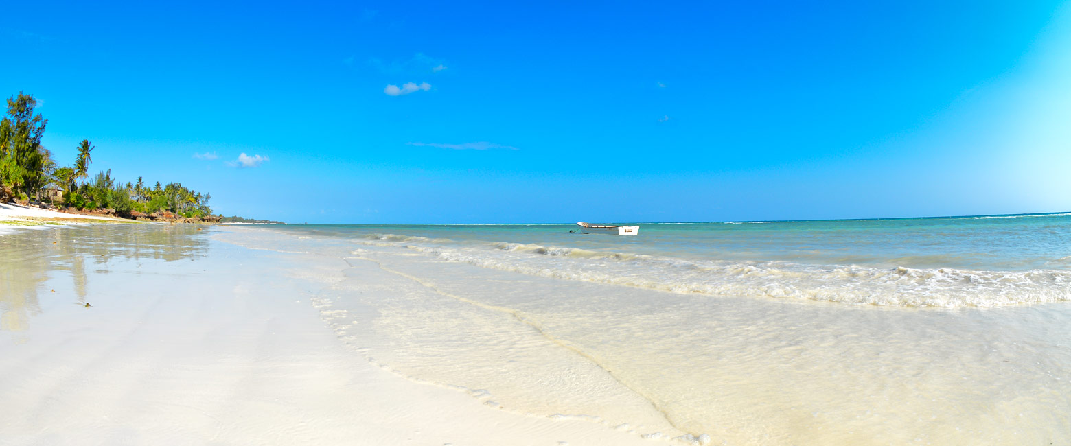 let us know your thoughts about Tanzania and we will help you create the perfect safari