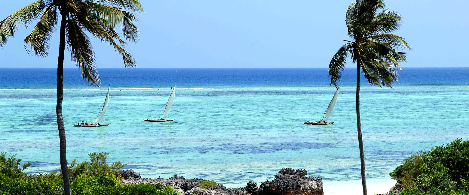 let us know your thoughts about Tanzania and we will help you create the perfect safari